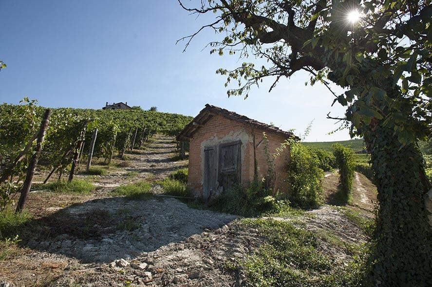 Вилла Cascina Ballarin Ла Морра Экстерьер фото