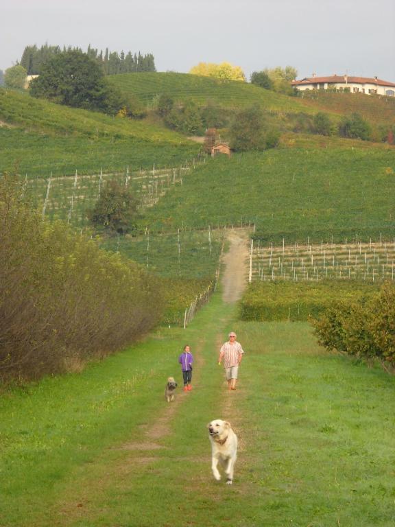 Вилла Cascina Ballarin Ла Морра Экстерьер фото