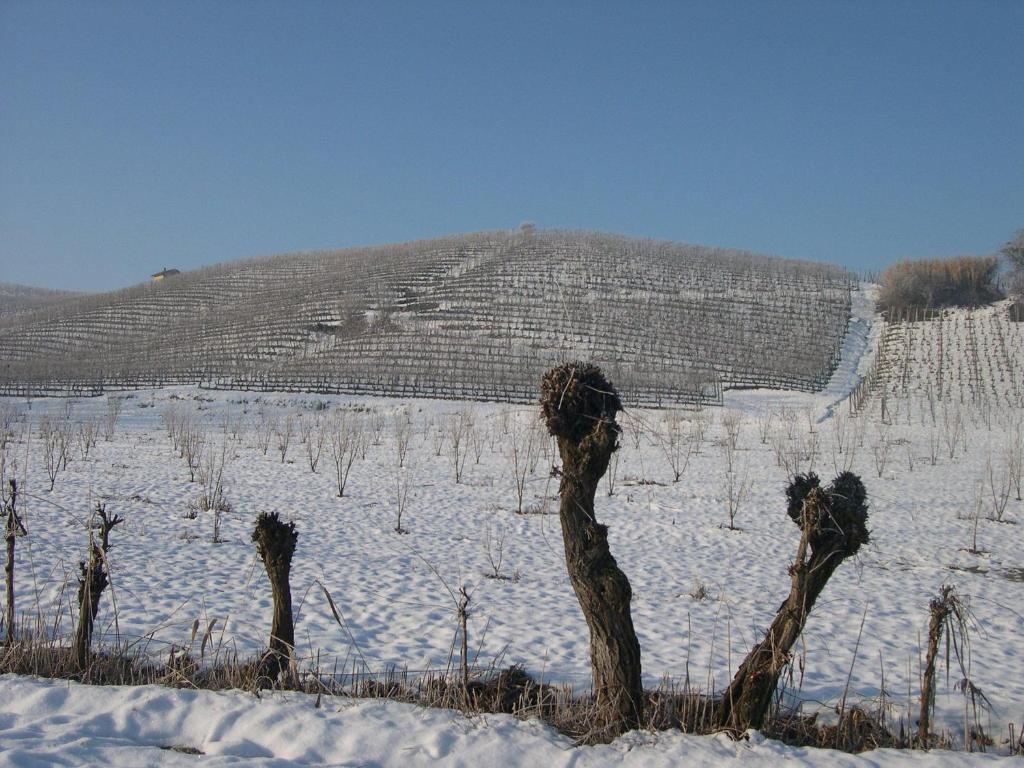 Вилла Cascina Ballarin Ла Морра Экстерьер фото