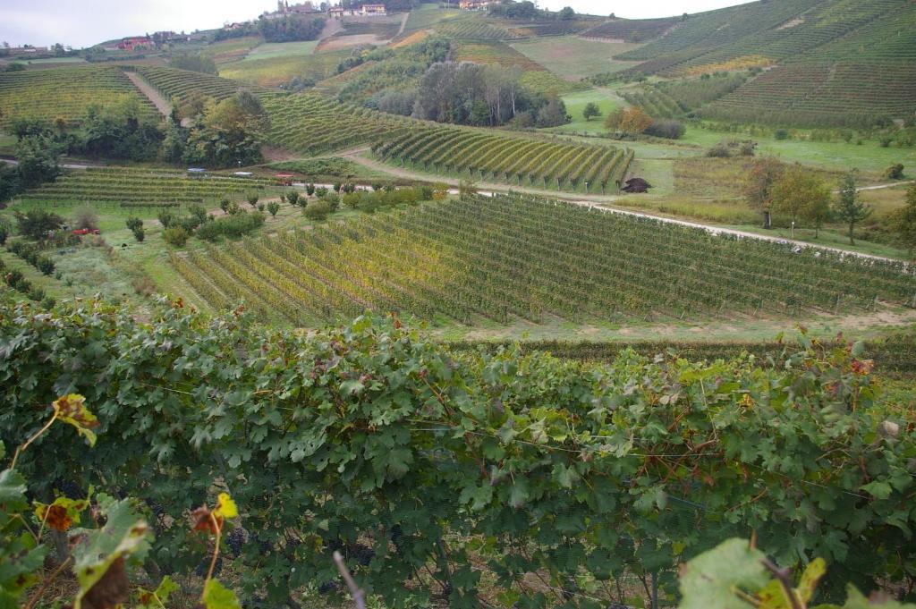Вилла Cascina Ballarin Ла Морра Экстерьер фото